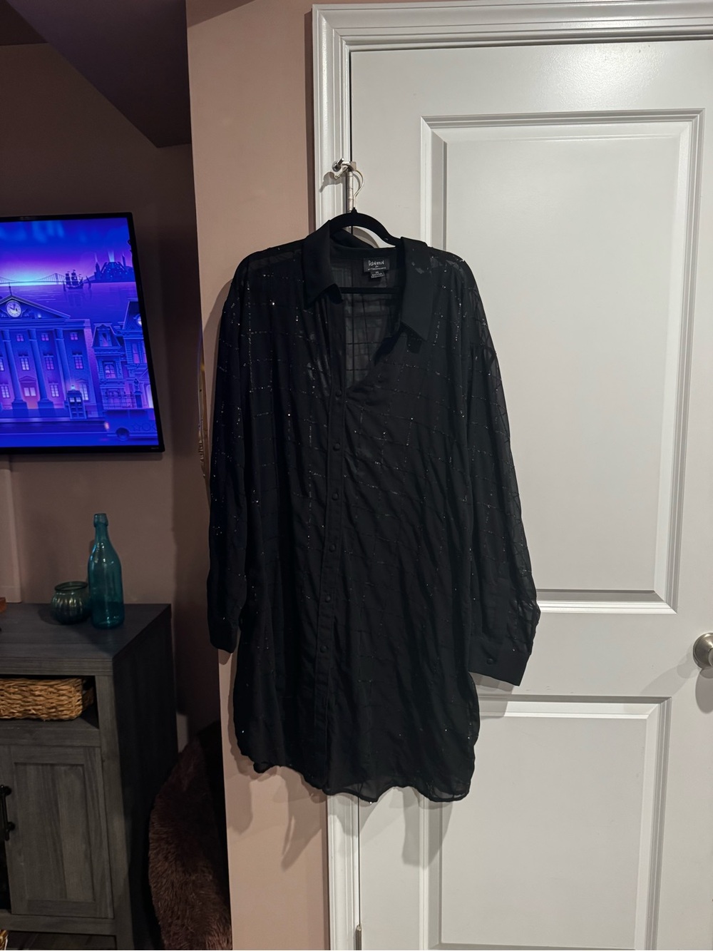 Black Long-Sleeve Sheer Button-Up dress